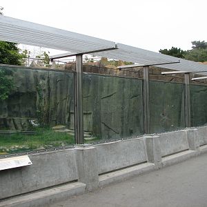 African Lion Exhibit 2 - Viewing Area