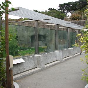 Siberian Tiger Exhibit - Viewing Area