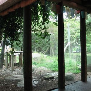 Snow Leopard Exhibit