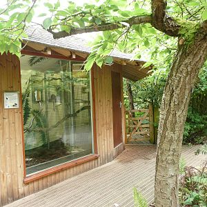 Golden-headed Lion Tamarin Housing