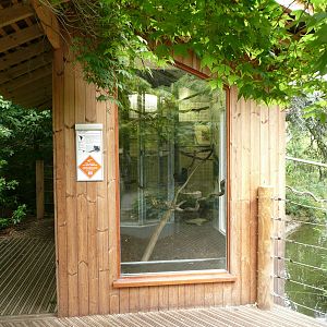 Goeldi's Monkey Housing