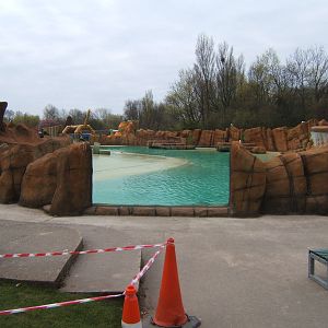View of Sealion pool