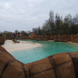 View of Sealion pool