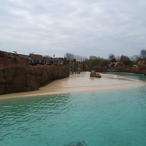 View of Sealion pool