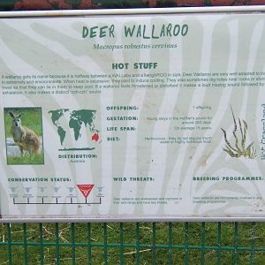 Old sign that was on view because the one covering it had fallen off