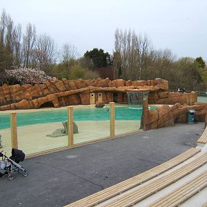 View of Sealion pool