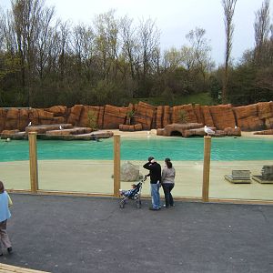 View of Sealion pool