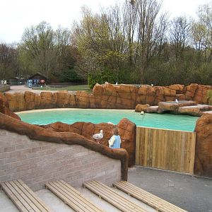 View of Sealion pool
