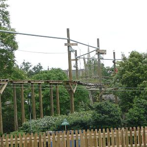 'Go Ape' at Bristol Zoo