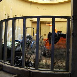 View inside the Lubtkin Elephant House