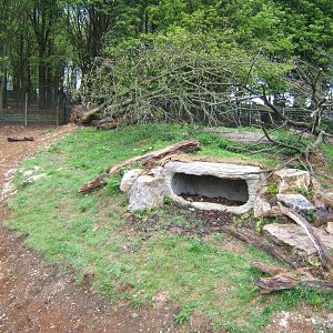 View of Lynx enclosure