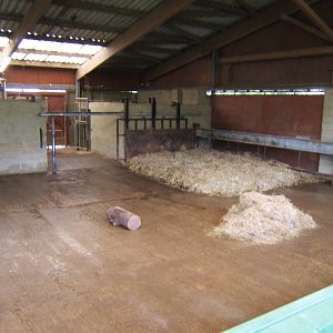 View inside White Rhino House