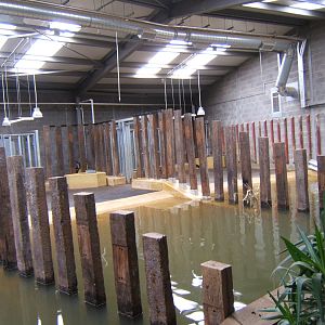 Inside the new Indian Rhino House