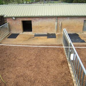 View of the old Indian Rhino House