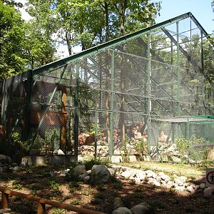 New complex exhibits for lynx, pallas cats and wildcats