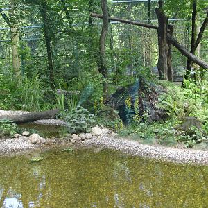 New exhibit for wildcats