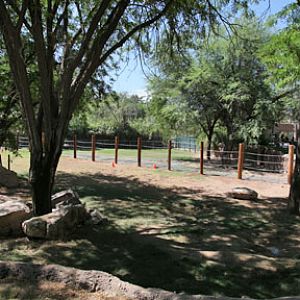 first signs of construction