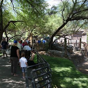 line for giraffe feeding