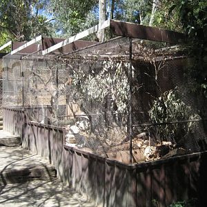 Aviaries