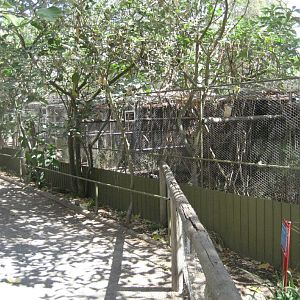 Aviaries