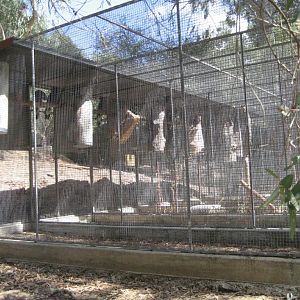 Black Cockatoo Breeding Aviaries