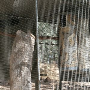 Black Cockatoo Breeding Aviaries nesting logs