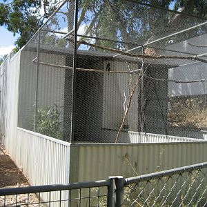 Breeding Aviaries