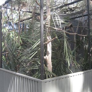 Cottontop Tamarin cage