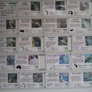 Bird Labels
