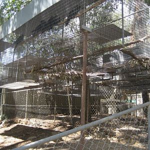 Suspended Aviaries