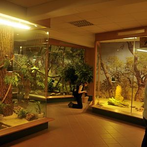 New reptile-house at Lüneburger Heide.