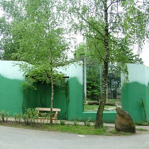 Cat House at Olomouc 30/05/09