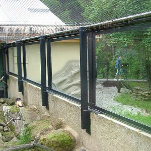 A Tale of Two Anteaters at Olomouc 30/05/09