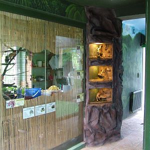 South American House interior at Olomouc 30/05/09