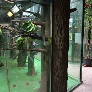 South American House interior at Olomouc 30/05/09