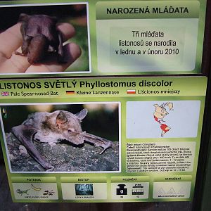 Signage example at Olomouc 30/05/09