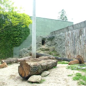 Cat House at Olomouc 30/05/09