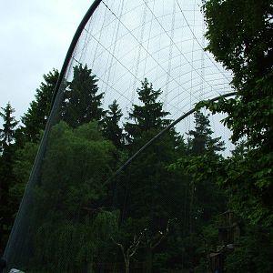 Flight aviary at Olomouc 30/05/09