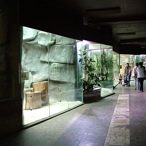 Cat House/Aquarium at Olomouc 30/05/09