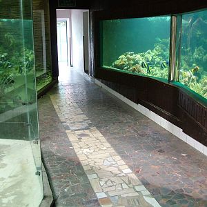 Cat House/Aquarium at Olomouc 30/05/09