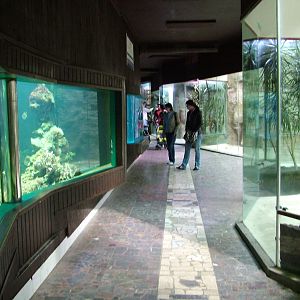 Cat House/Aquarium at Olomouc 30/05/09