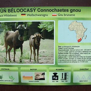 Signage example at Olomouc 30/05/09