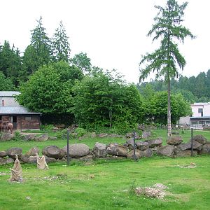 Paddocks at Olomouc 30/05/09