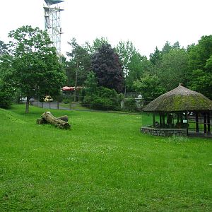 Cheetah paddock at Olomouc 30/05/09