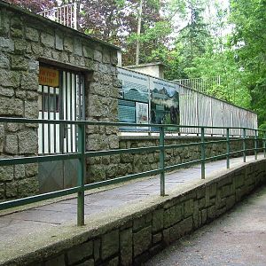 Former Black Bear exhibit at Olomouc 30/05/09