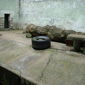 Former Black Bear exhibit at Olomouc 30/05/09