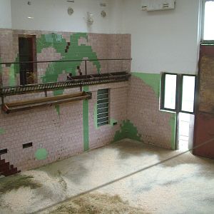 Giraffe House interior at Olomouc 30/05/09