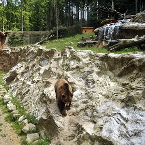 Bear / wolf-enclosure at Lüneburger Heide.