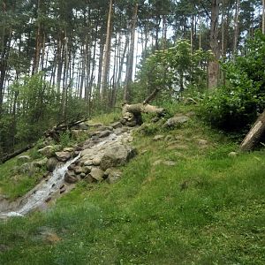 Snowleopard-exhibit at Lüneburger Heide.