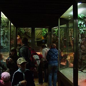 Terrarium at Olomouc 30/05/09